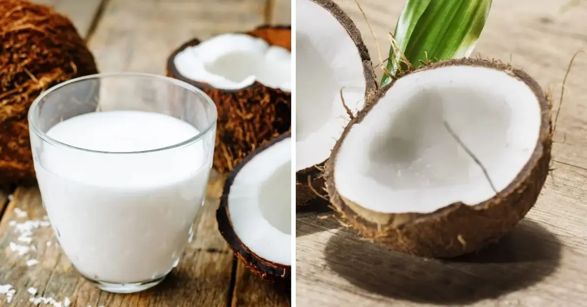 Główne zdjęcie - Jak zrobić domowe mleczko kokosowe?