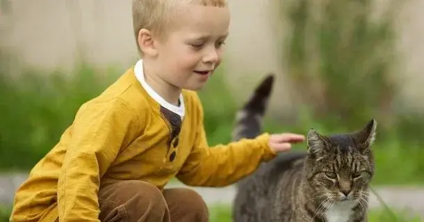 Główne zdjęcie - "Mój Antoś ciągle łapie kota za ogon!" Jak nauczyć dziecko szacunku do zwierzaków?