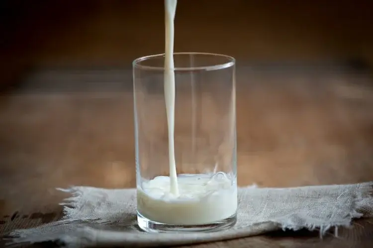 Mleko roślinne – zrób je sama!