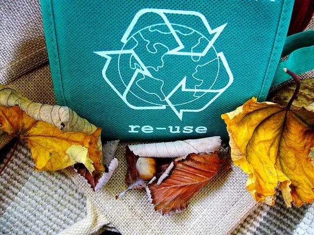 Główne zdjęcie - Zero waste: mądra segregacja śmieci