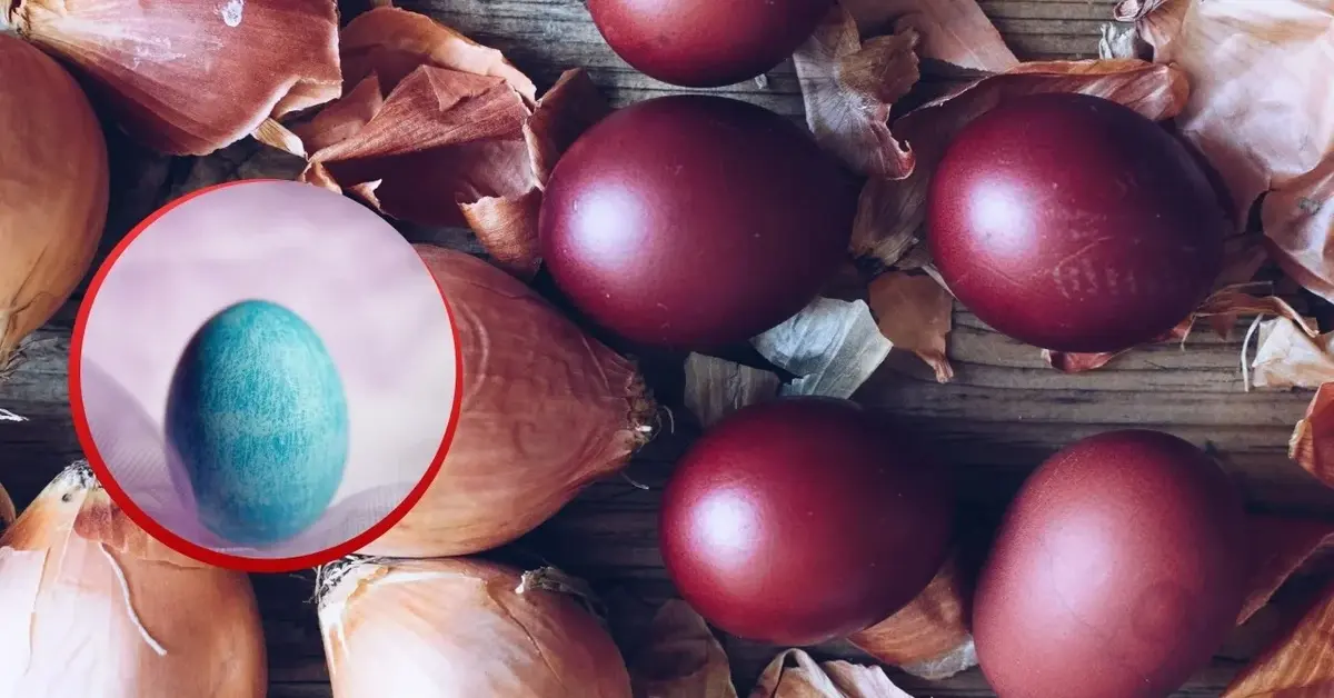 Jajka pofarbowane łupinami cebuli i jedno jajko pofarbowane na niebiesko czerwoną kapustą.