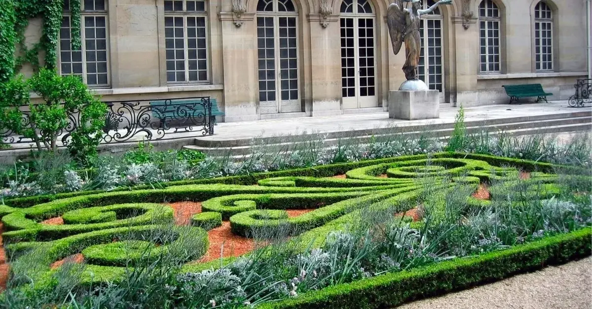 Główne zdjęcie - Ogród w stylu francuskim. Jak stworzyć przydomowy ogród francuski?