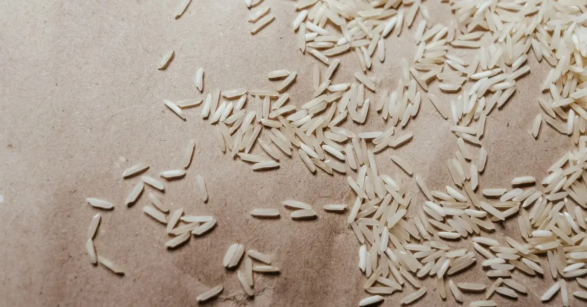 Rozsypane ziarenka ryżu