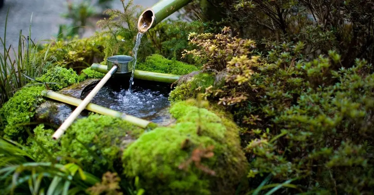 Główne zdjęcie - Wiosna 2023: Jak urządzić piękny ogród japoński?