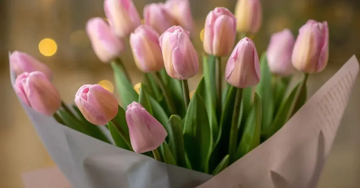 Główne zdjęcie - 10 krótkich życzeń na Dzień Kobiet. Dodaj je na bilecik do bukietu kwiatów