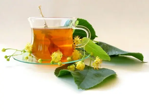 Rodzaje herbat i ich właściwości