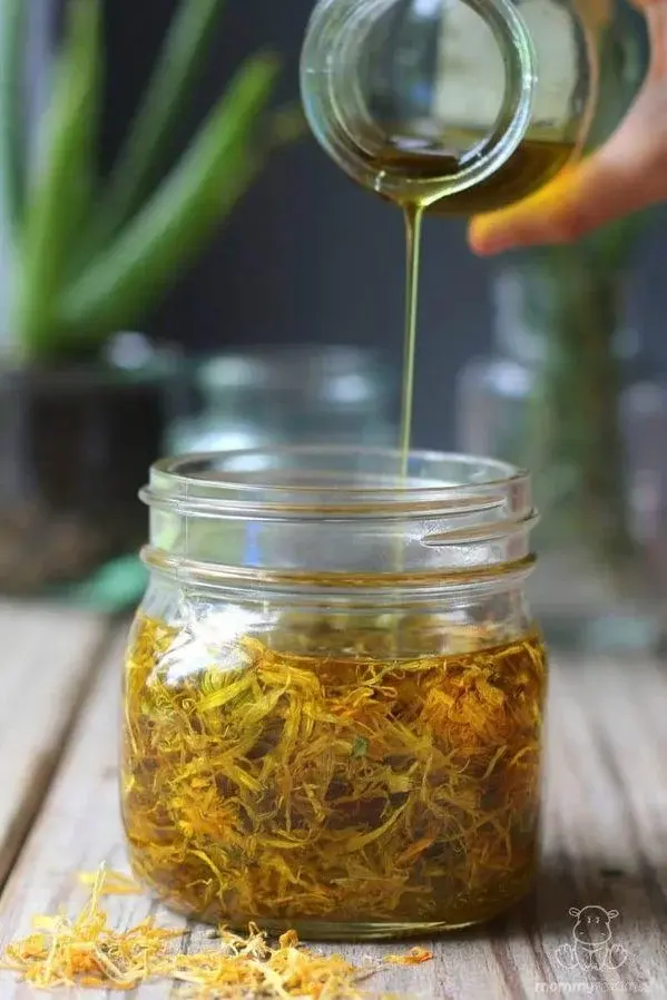 Olejek z drzewa herbacianego - poznaj jego właściwości!
