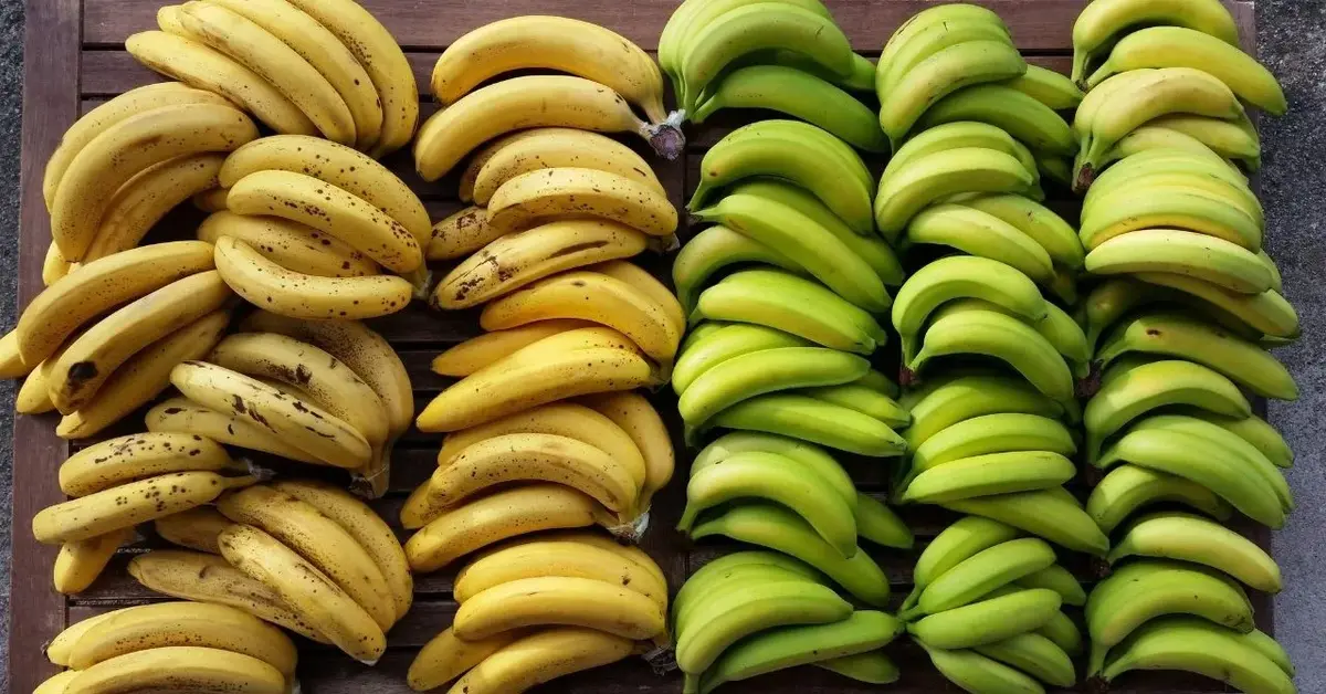 Główne zdjęcie - Czy banany można stosować w codziennej diecie? Właściwości żółtych owoców