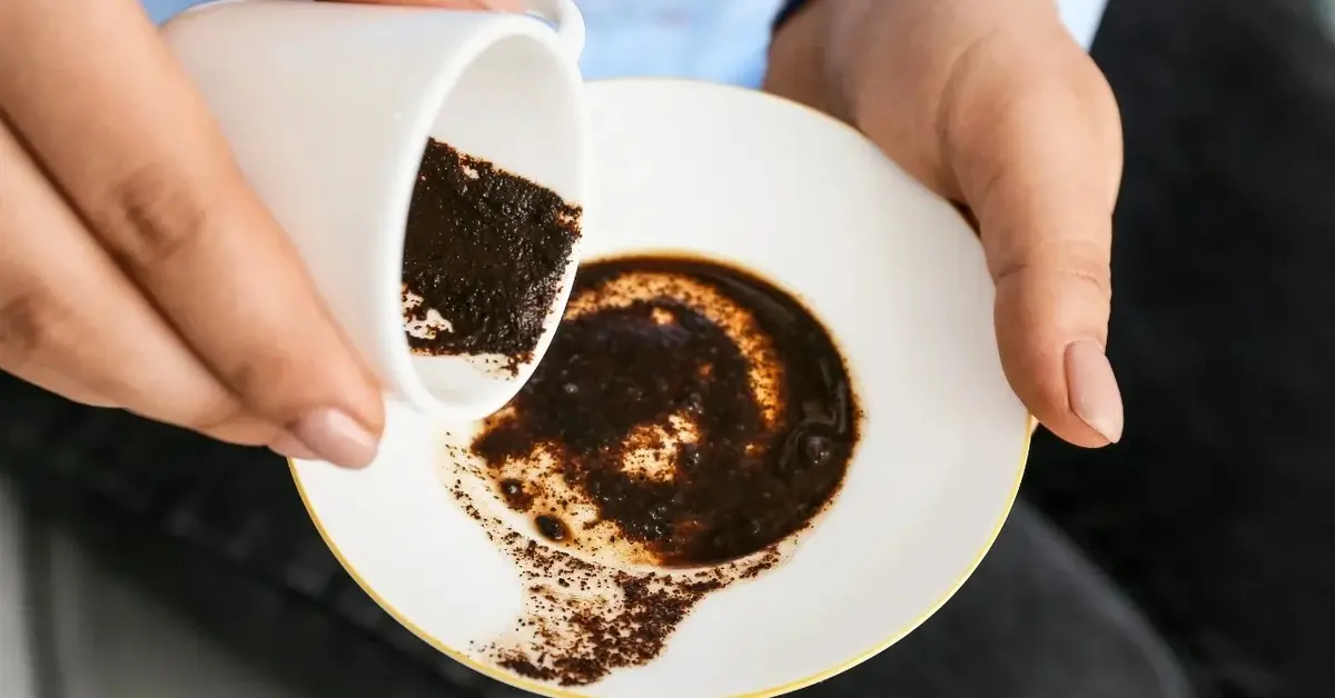 Główne zdjęcie - Ekologiczne cuda z fusami z kawy: zastosowania, o których nie miałeś pojęcia