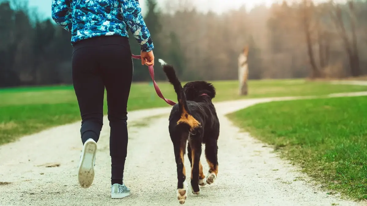 Kobieta spacerująca z psem po ścieżce 