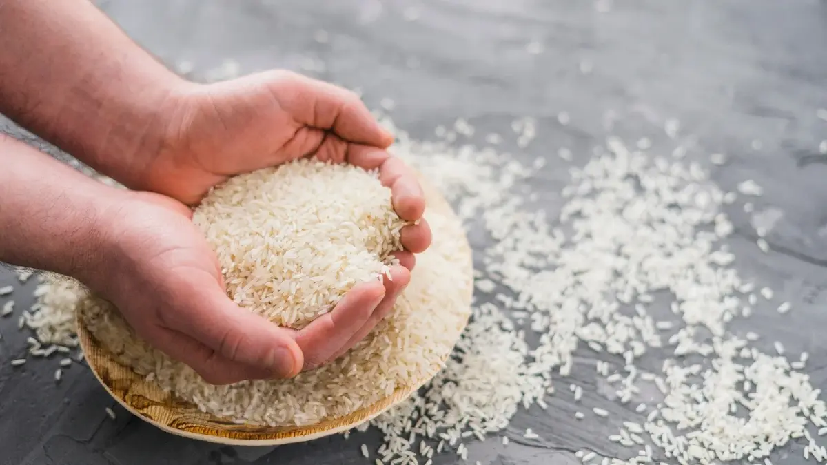 Ziarenka ryżu trzymane w dłoniach, częśc rozsypany na blacie 