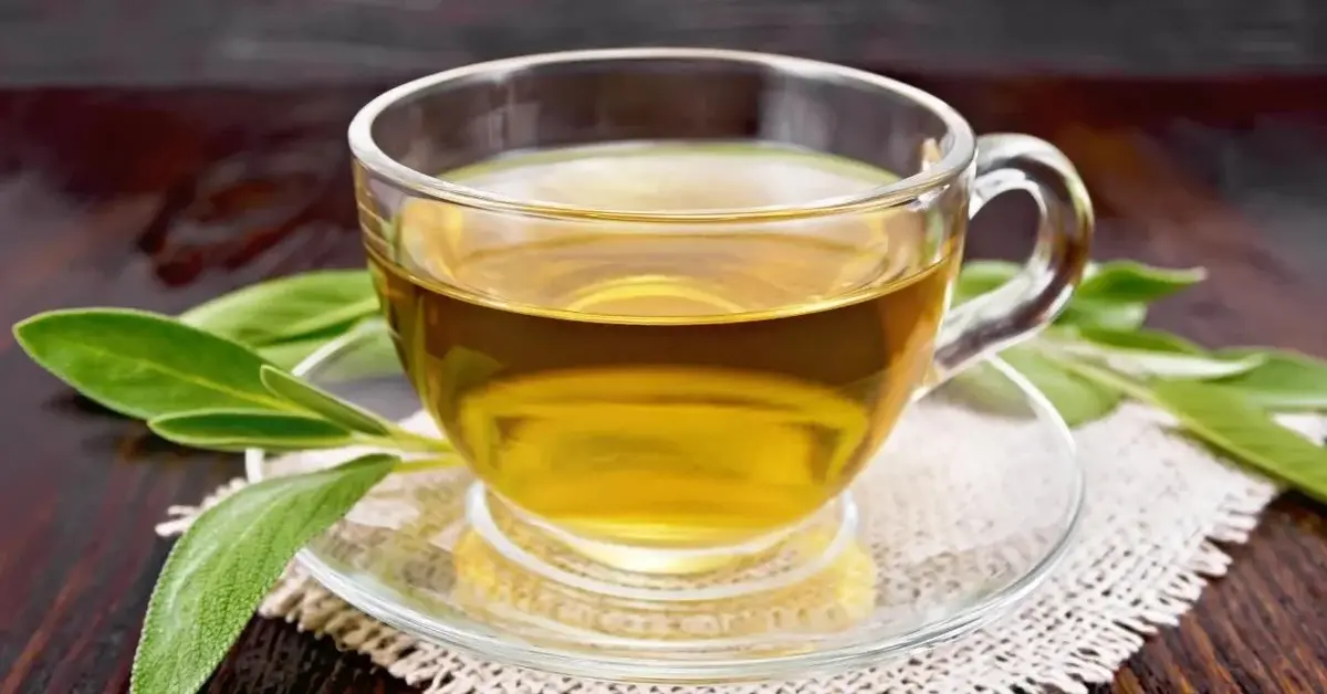 Główne zdjęcie - Zielona herbata ma wiele zdrowotnych właściwości. Tego na pewno o niej nie wiesz
