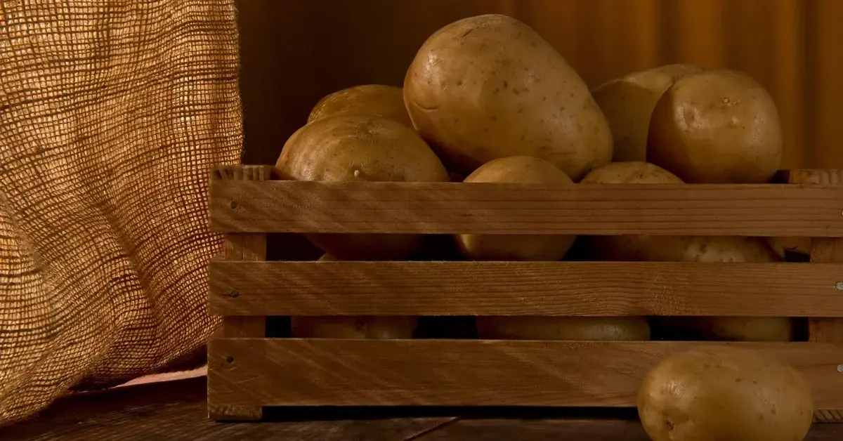 Główne zdjęcie - Tajemnice przechowywania ziemniaków - jak utrzymać ich świeżość?