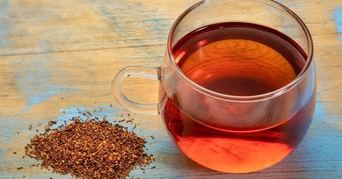 Herbatka z rooibos