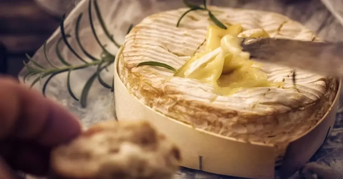 Camembert