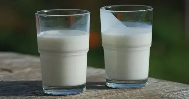 Jogurt