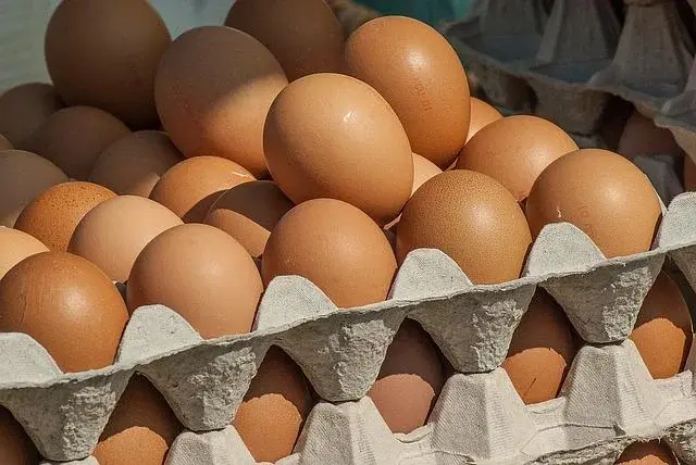 Jakie jajka wybrać w sklepie? Co oznaczają numery 0, 1, 2, 3?