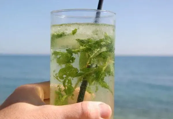 Bezalkoholowe mojito - przepis na orzeźwiający napój na bazie mięty