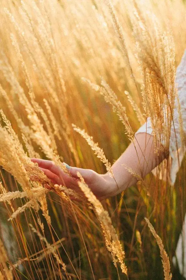 Dieta bez glutenu - na czym polega i jakie przynosi efekty?