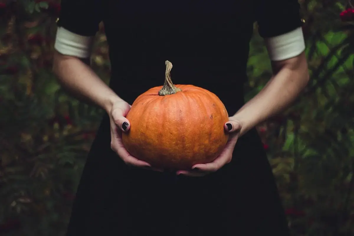 Halloween - skąd się wzięło to święto?