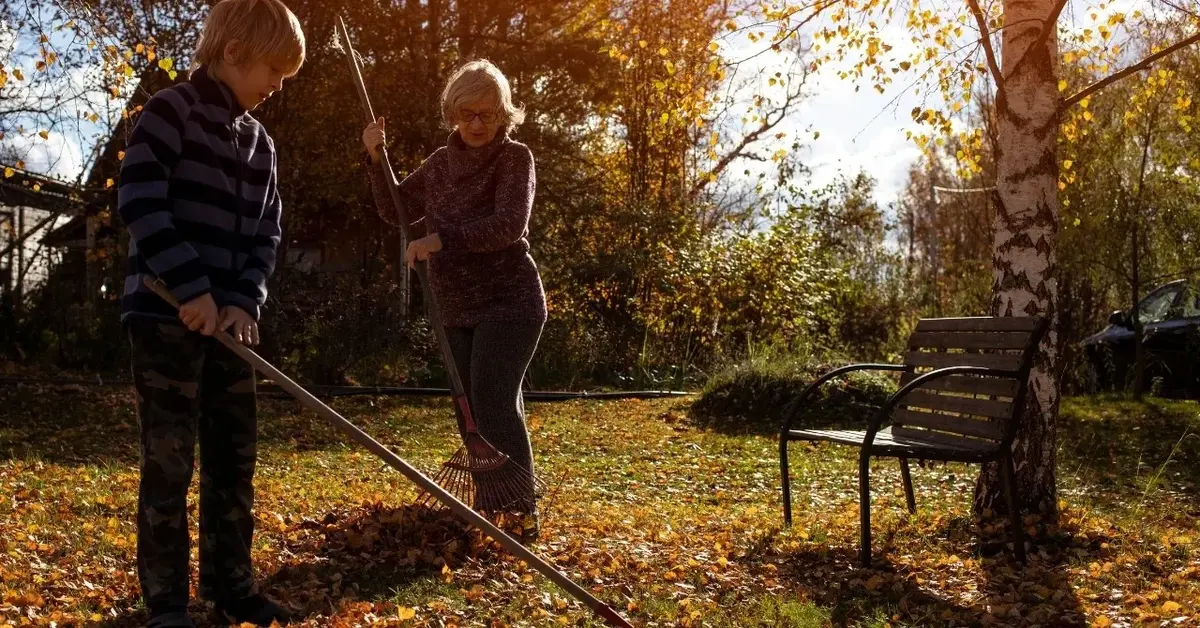 grabienie liści babcia i wnuczek grabią