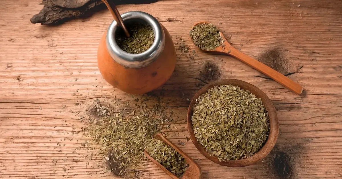 Główne zdjęcie - Yerba mate - co to za napój?