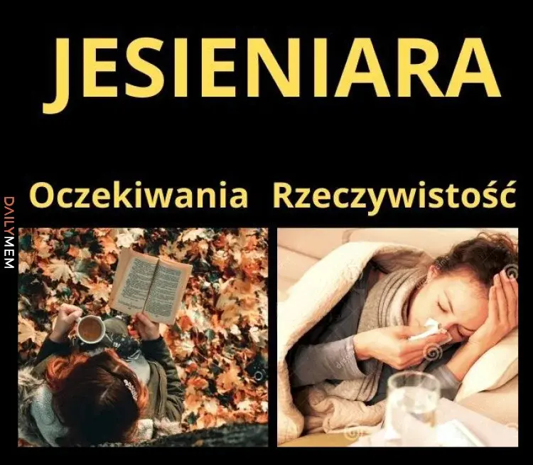 Jesieniara - mem