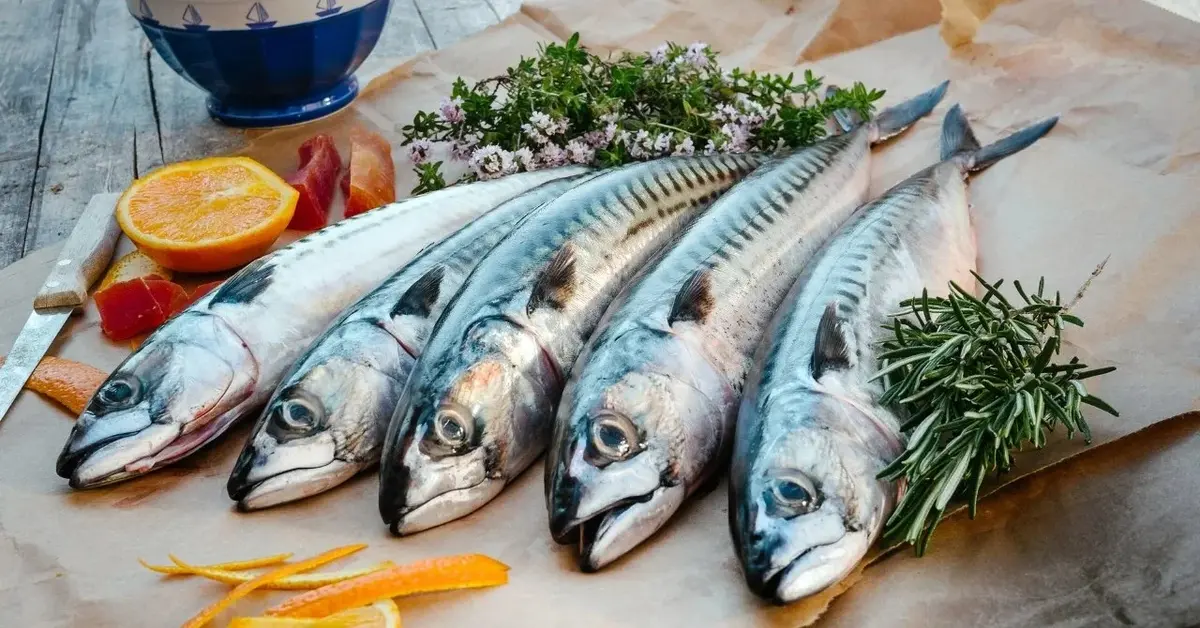 5 makreli obok rozmaryn pomarańcza miska