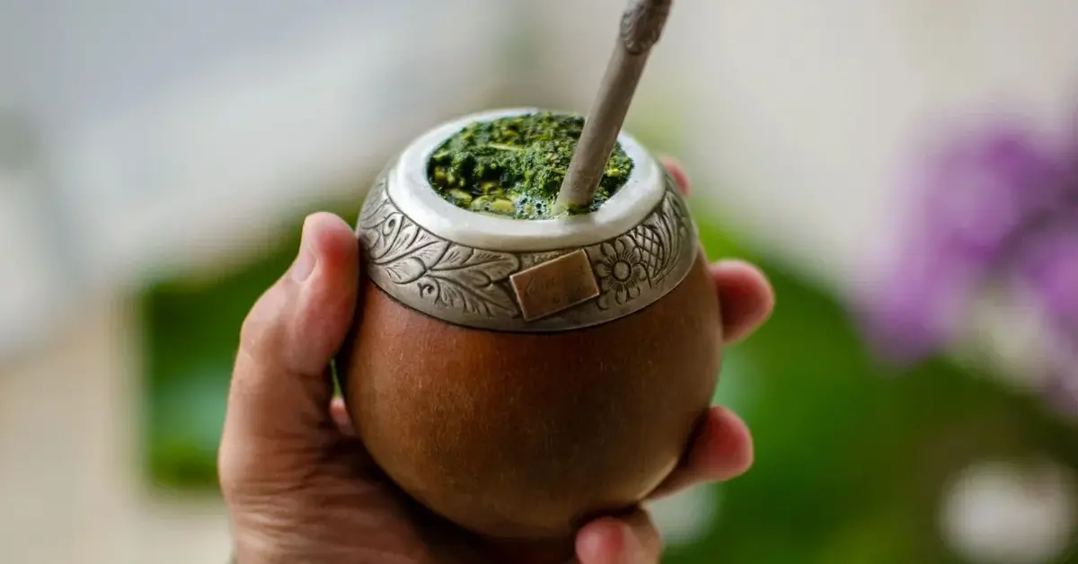 Yerba mate w kubeczku trzymanym w dloni