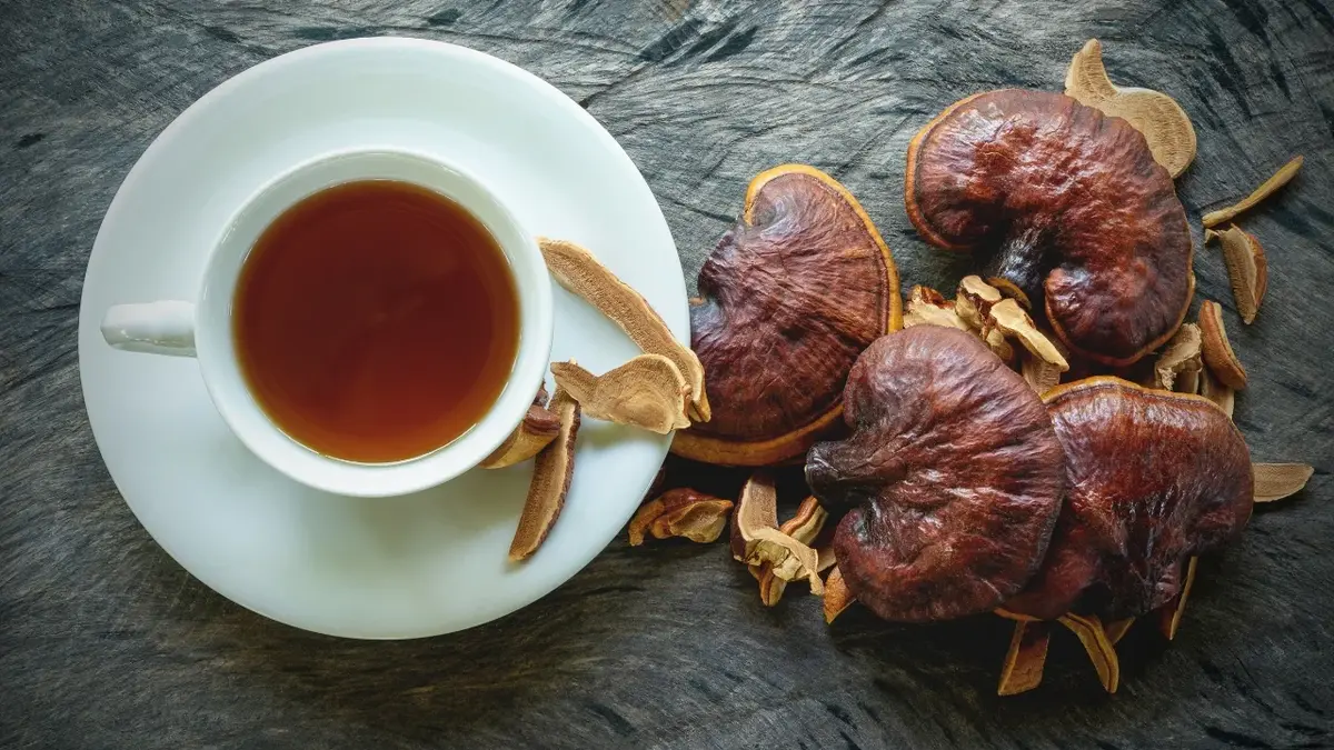 Reishi i napar z reishi w białej filiżance 