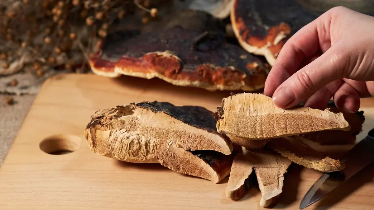 Grzyby reishi przekrojone n apół na drewnianej desce do krojenia