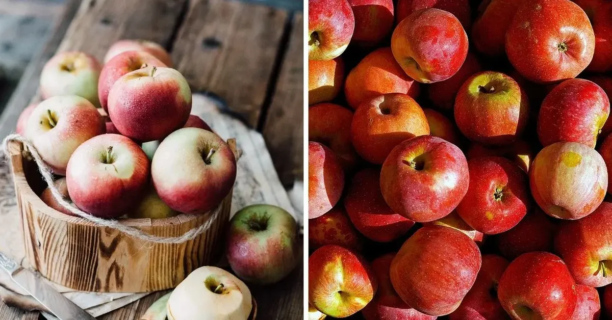 Główne zdjęcie - Jabłka na zimę. Jak przechowywać owoce, aby nie zgniły?