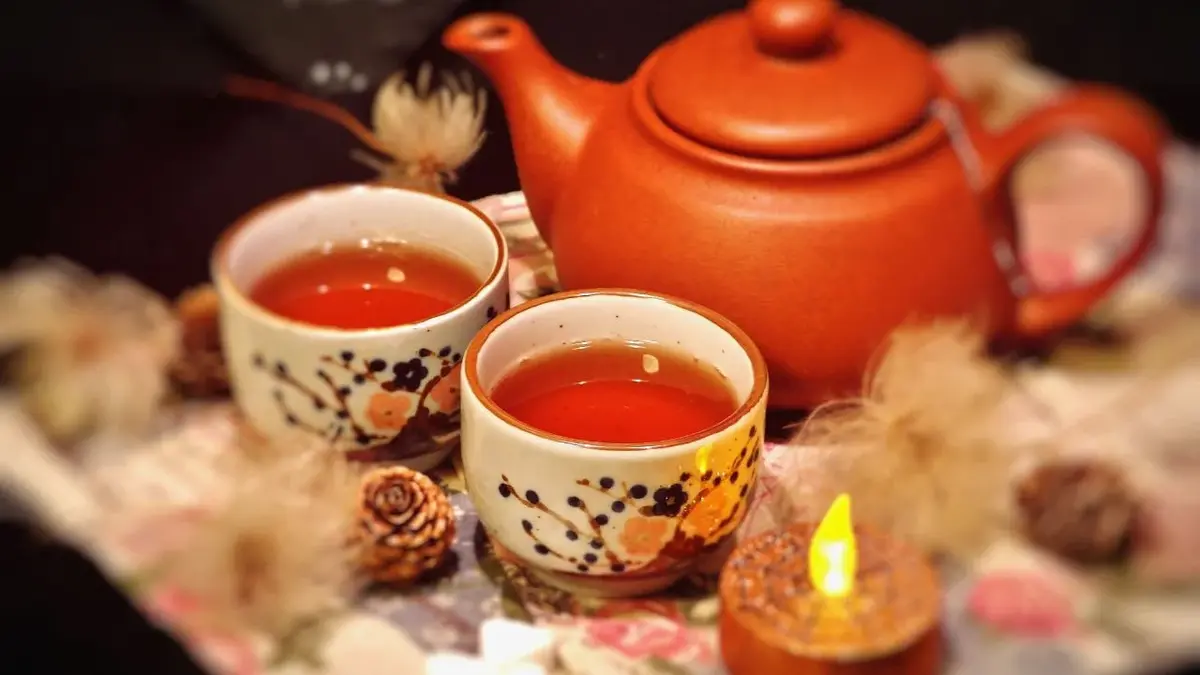 Napar z herbaty na paprotki