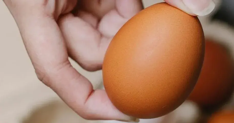 Główne zdjęcie - Marmurkowe jajka na Wielkanoc - przystawka, której się nie oprzesz [PRZEPIS]