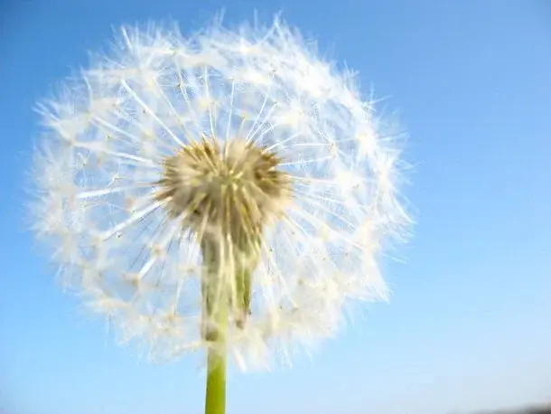 7 symptomów, które pomogą w rozpoznaniu alergii u dziecka
