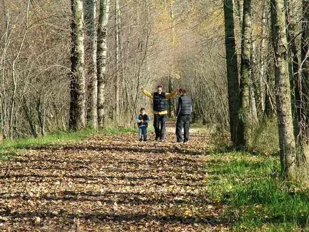 10 powodów dla których warto zachęcać dziecko do ruchu