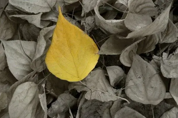 5 sposobów na jesienną depresję