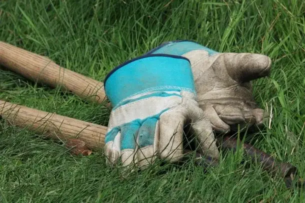 Rękawice ogrodnicze