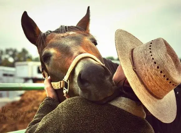 Hipoterapia – magia powrotu do zdrowia