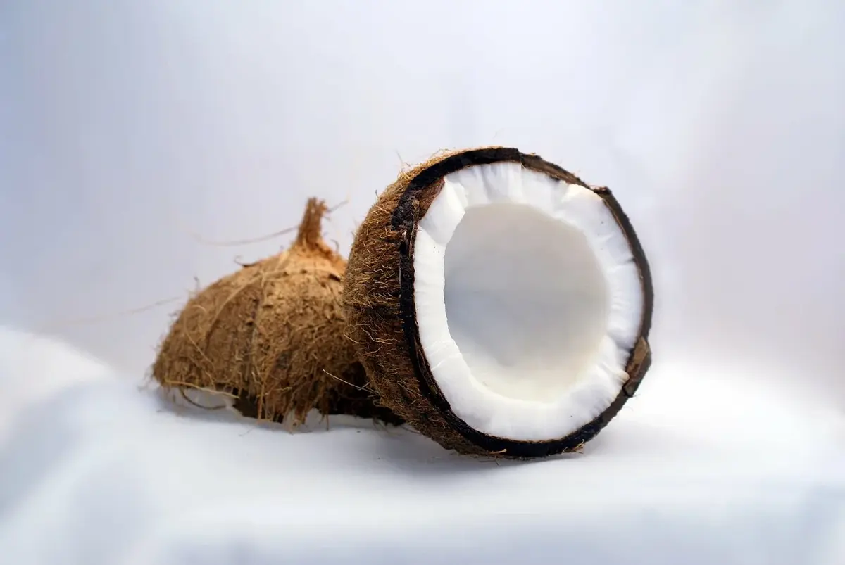 Kokosy – najmodniejsze orzechy tego roku