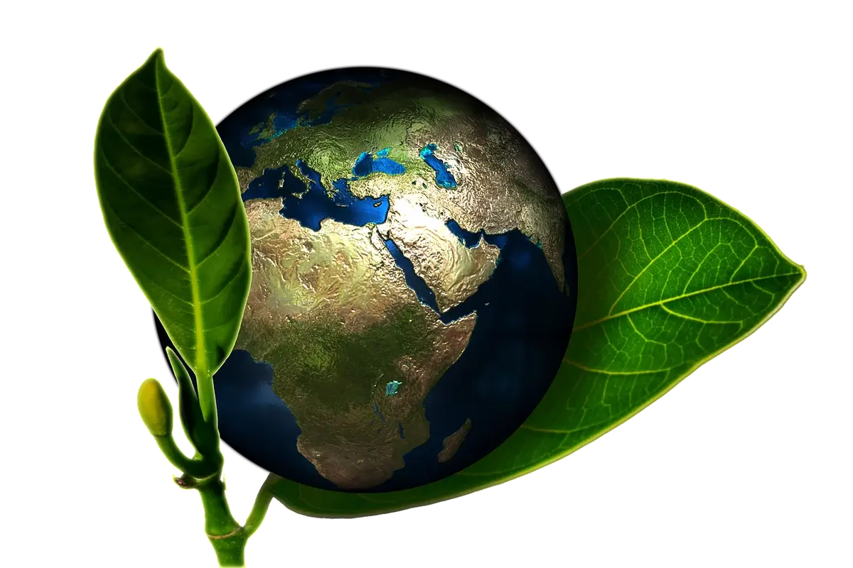 Ekologiczne farbowanie włosów czy jest możliwe?