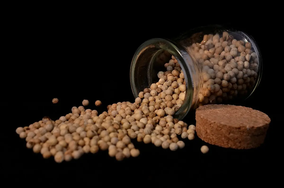 Pieprz – co powinnaś o nim wiedzieć