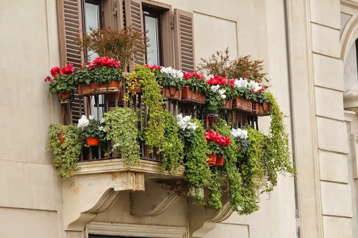 Uprawy balkonowe – jakie rośliny posadzić?