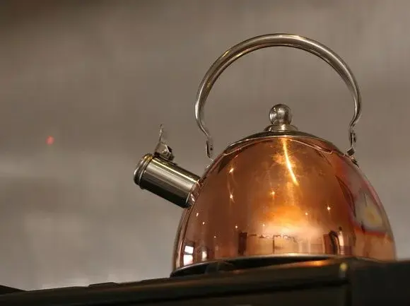 Jak pozbyć się kamienia z czajnika?