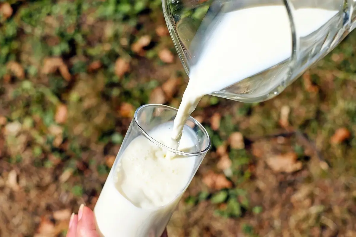 Mleka roślinne – hit dietetyczny