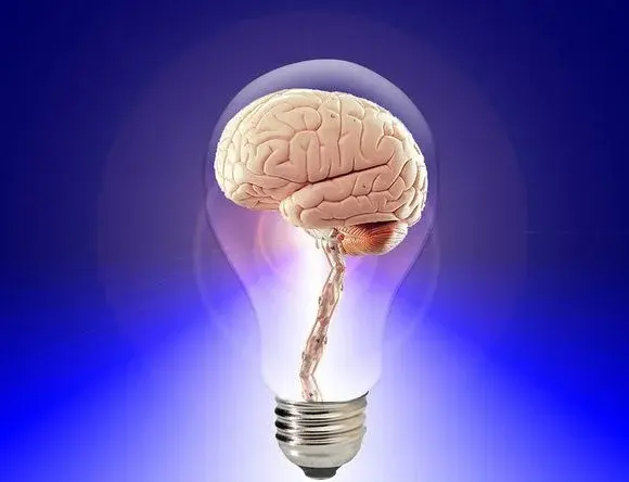 Jak dbać o mózg i pamięć?