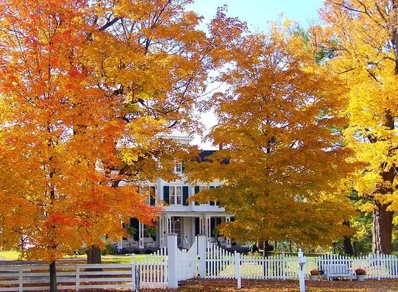 7 praktycznych wskazówek, jak przygotować dom na nadejście jesieni