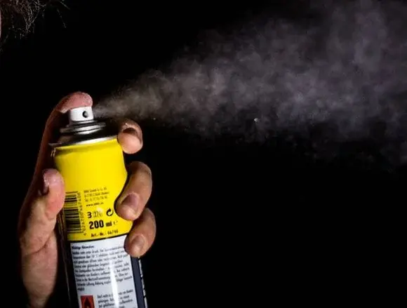 Jak pozbyć się karaluchów i prusaków z mieszkania?