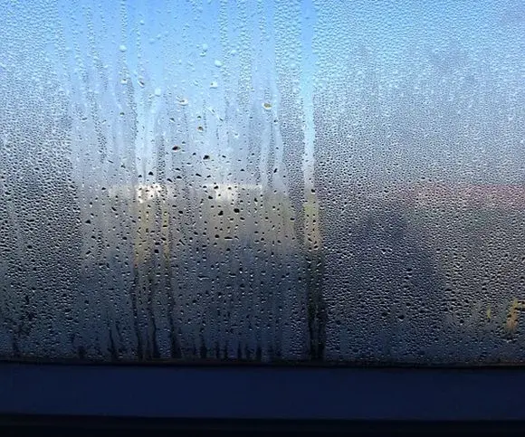 Prosty sposób na zaparowane szyby w samochodzie