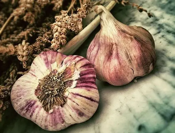 Na jakich produktach opiera się zdrowa kuchnia śródziemnomorska?